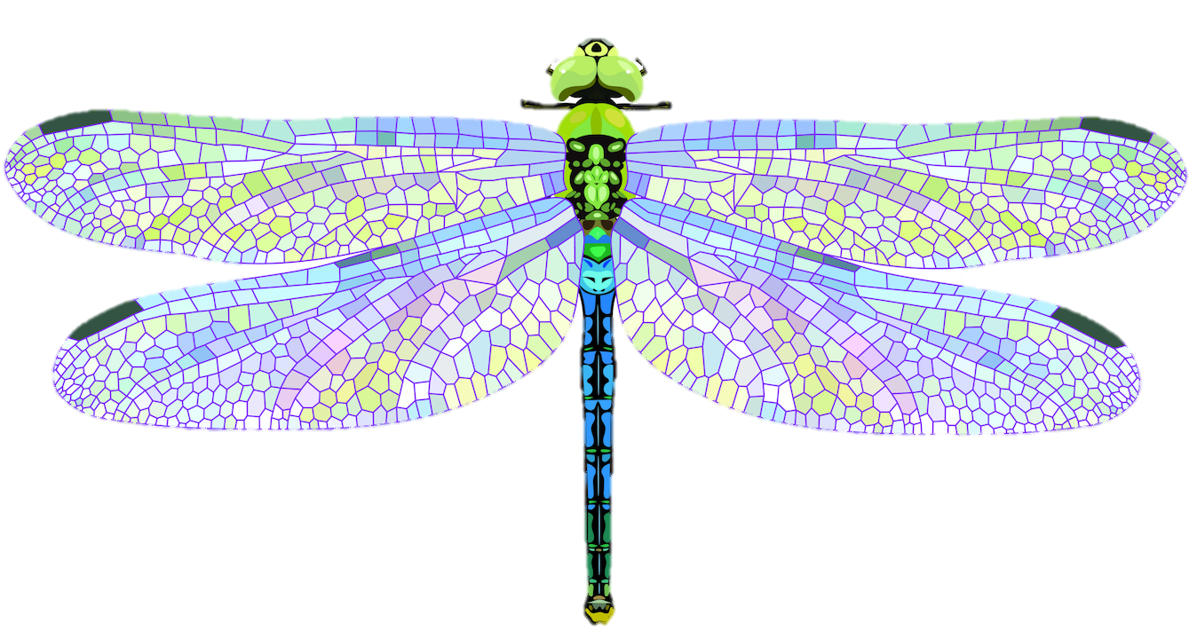 Logo of the Live Work Well Research Centre which features a green and blue dragonfly graphic